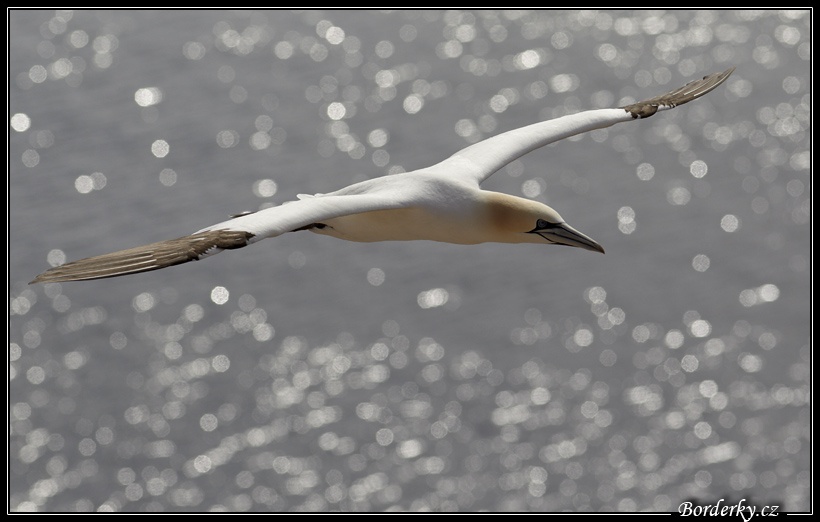 Helgoland_017.jpg