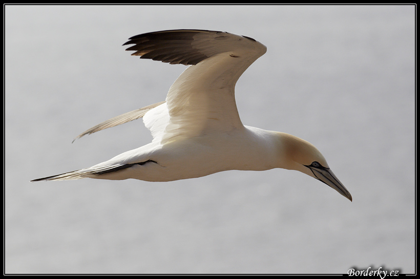 Helgoland_018.jpg