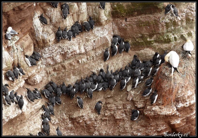 Helgoland_022.jpg