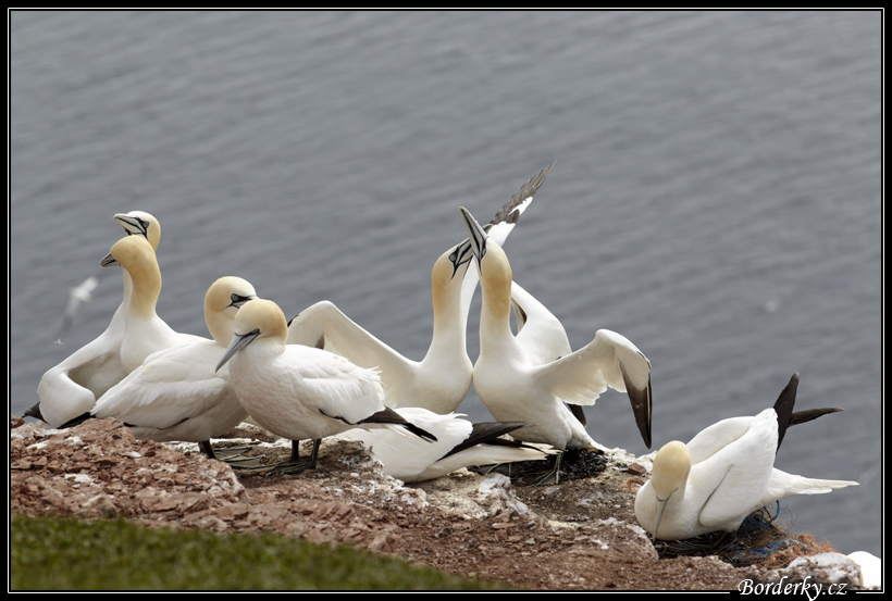 Helgoland_025.jpg