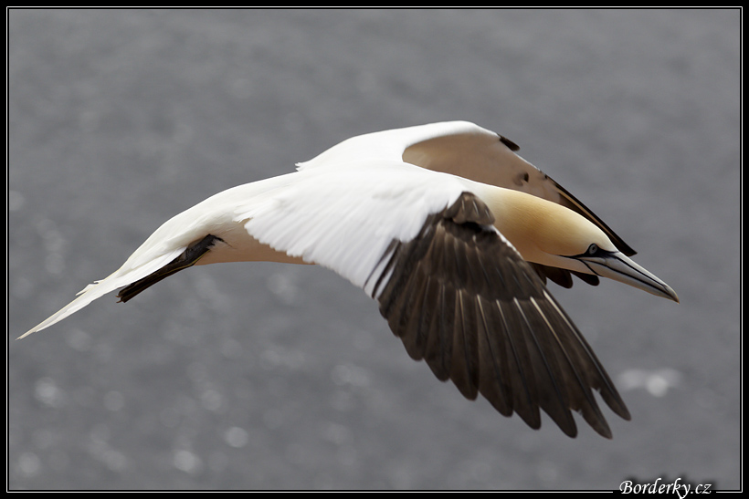 Helgoland_028.jpg