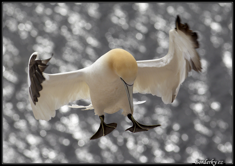 Helgoland_029.jpg