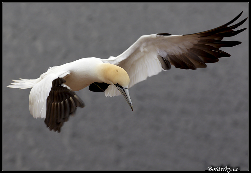 Helgoland_031.jpg