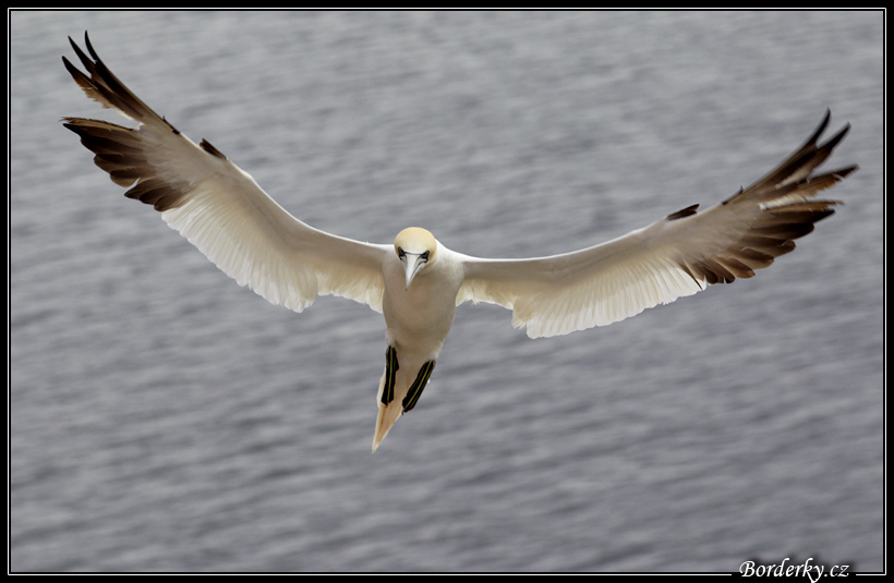 Helgoland_032.jpg