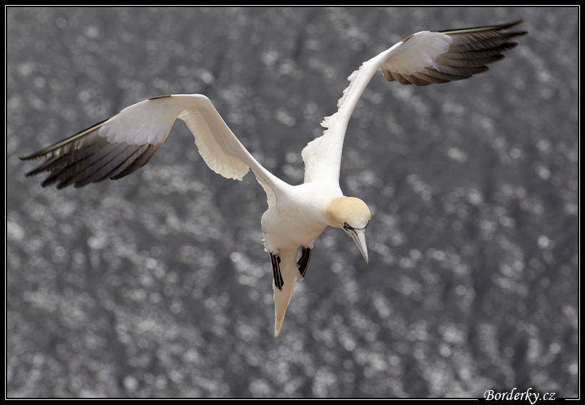 Helgoland_033.jpg