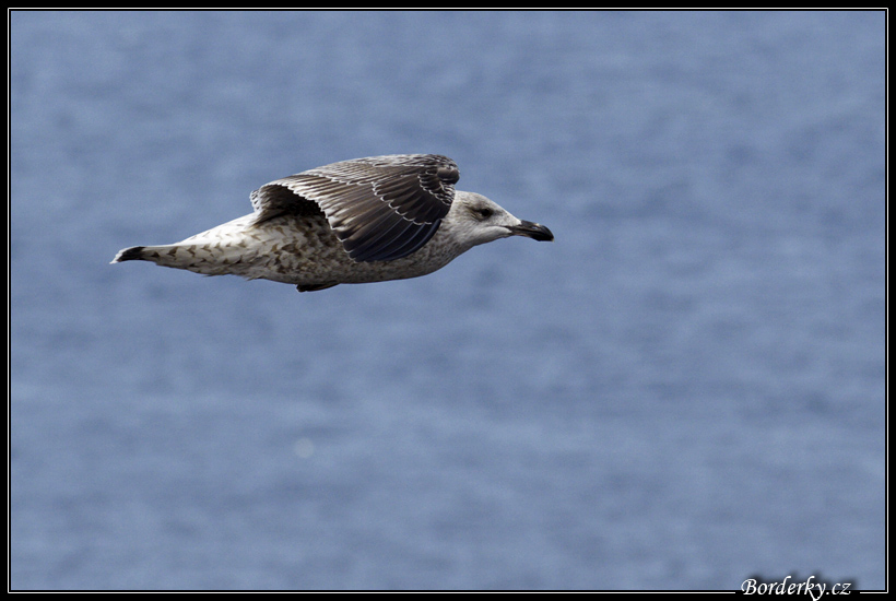 Helgoland_035.jpg