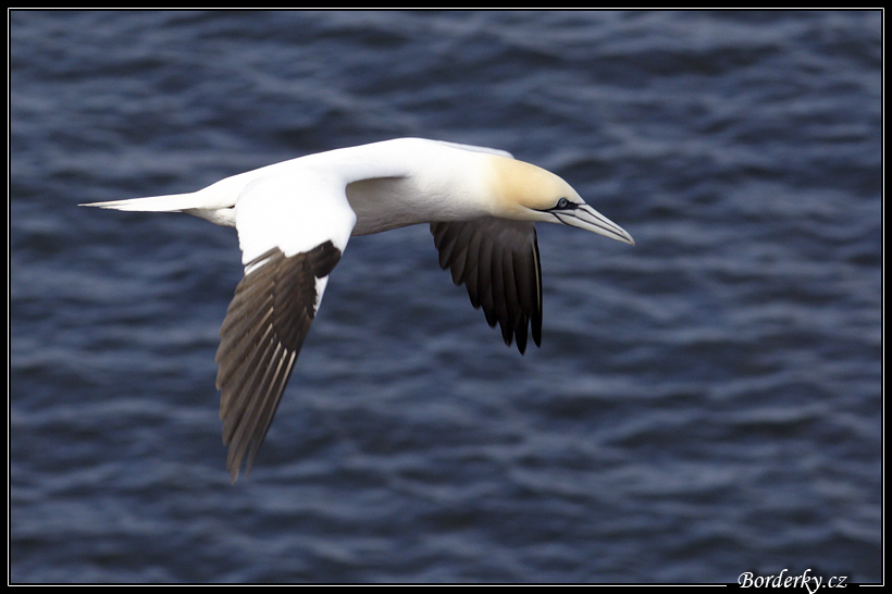 Helgoland_037.jpg