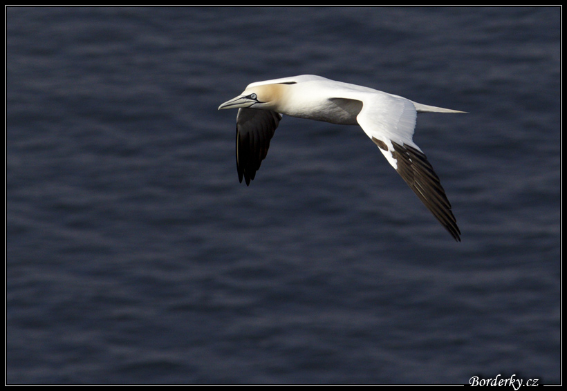 Helgoland_043.jpg