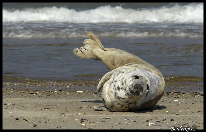 Helgoland_047.jpg