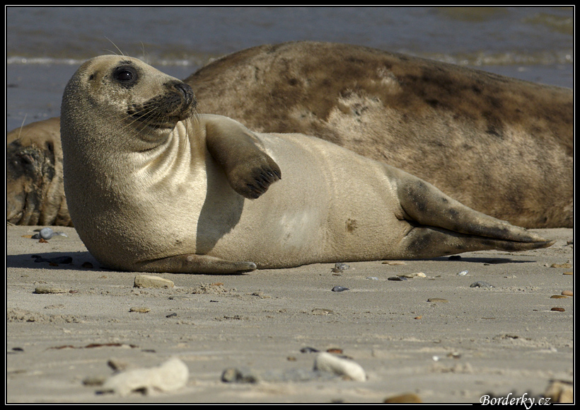 Helgoland_052.jpg