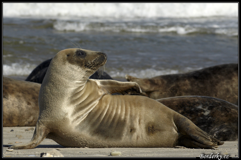 Helgoland_054.jpg