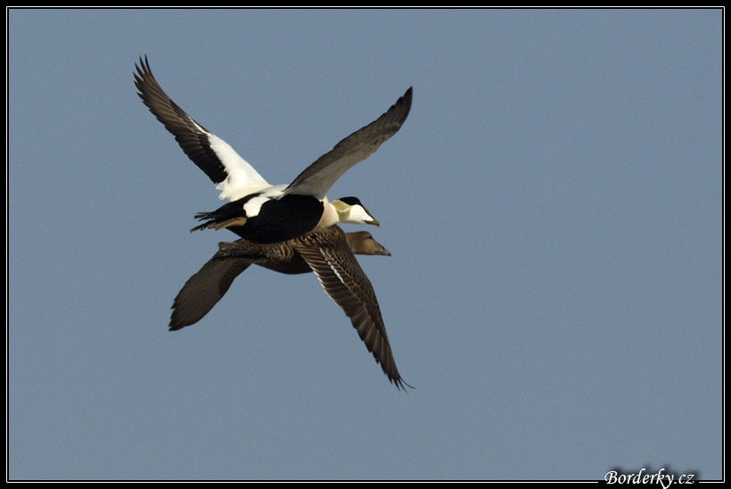 Helgoland_066.jpg