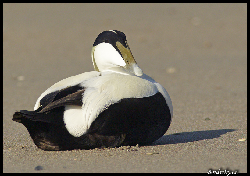 Helgoland_072.jpg