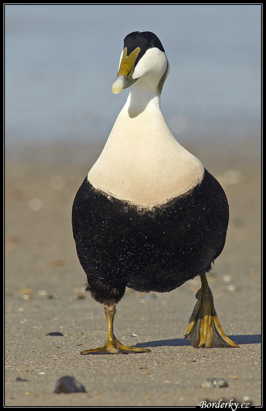 Helgoland_079.jpg