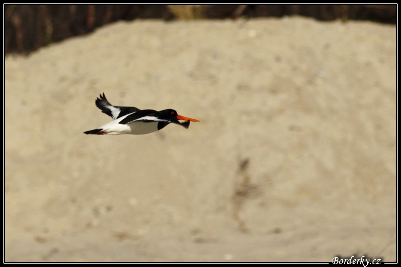 Helgoland_092.jpg