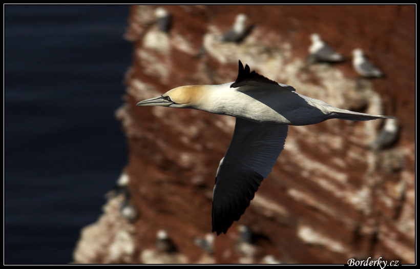 Helgoland_096.jpg