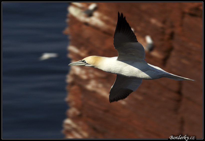 Helgoland_100.jpg