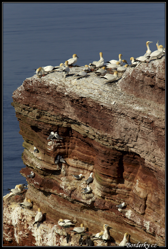 Helgoland_103.jpg