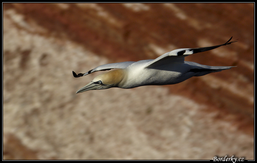 Helgoland_104.jpg