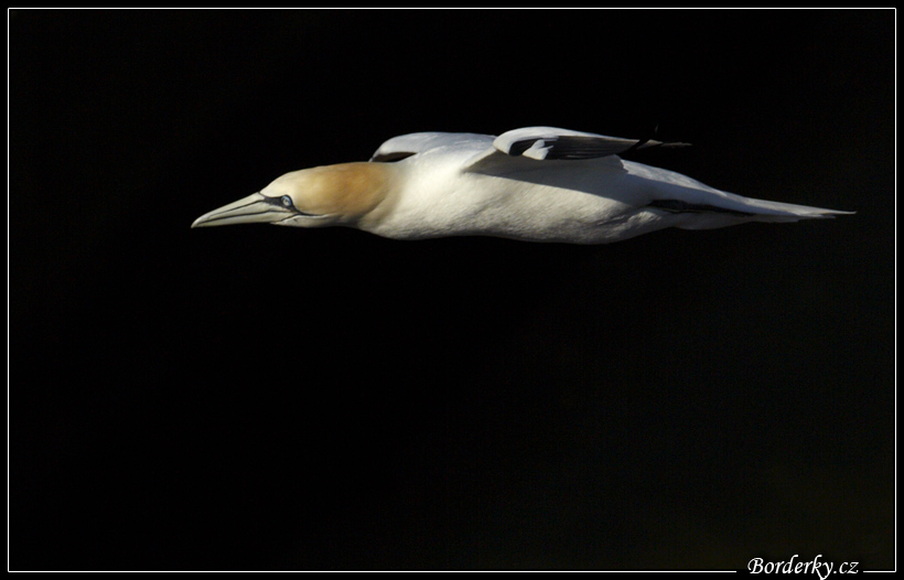 Helgoland_105.jpg