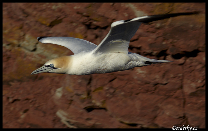 Helgoland_109.jpg