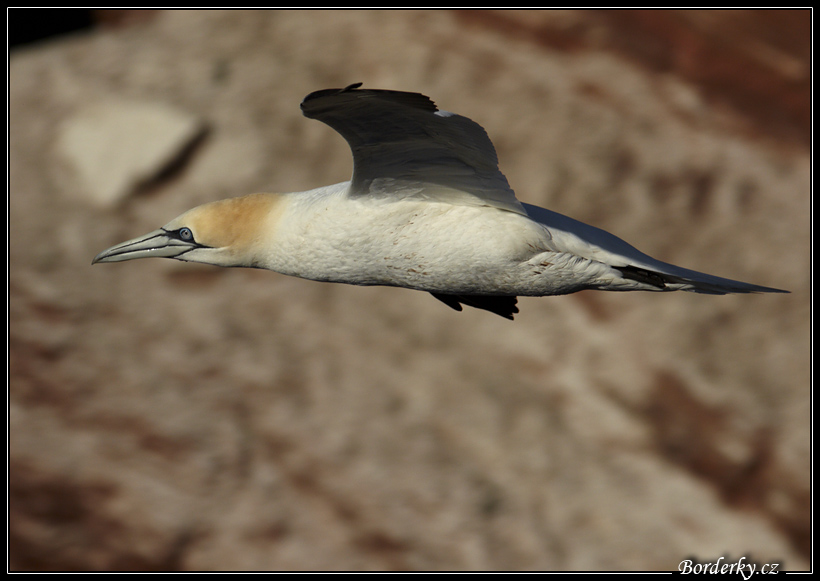 Helgoland_110.jpg