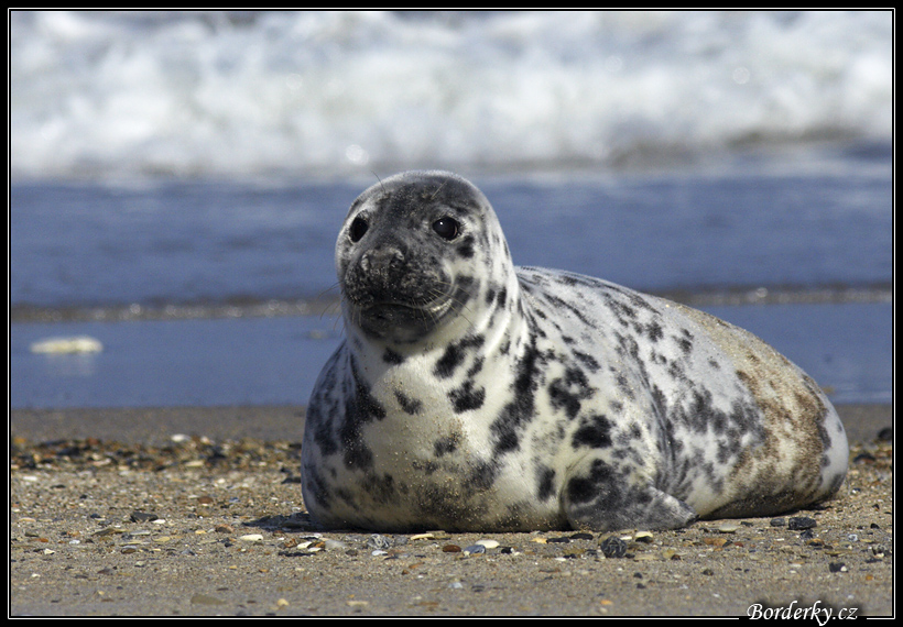 Helgoland_116.jpg