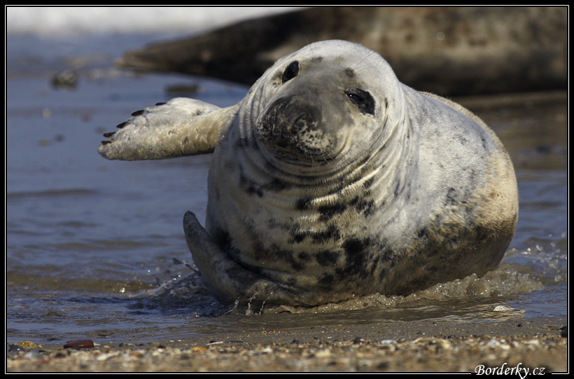 Helgoland_130.jpg