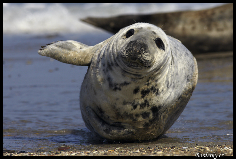 Helgoland_131.jpg