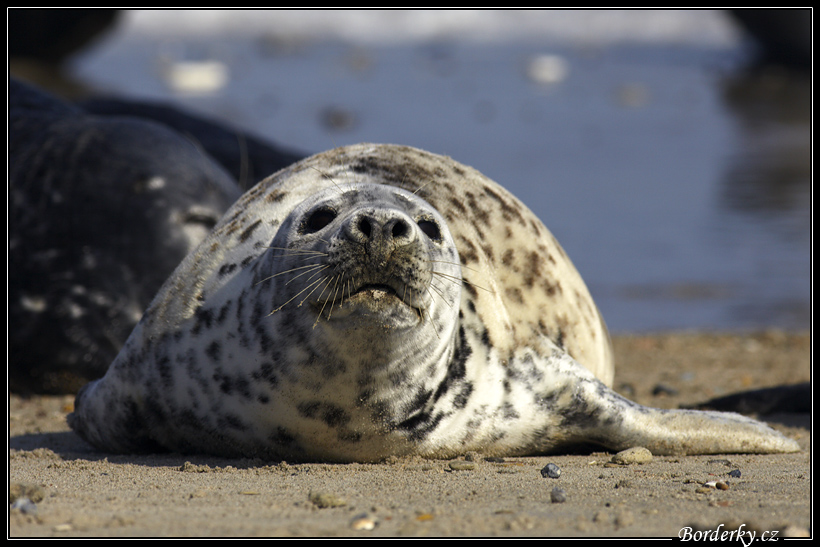 Helgoland_134.jpg