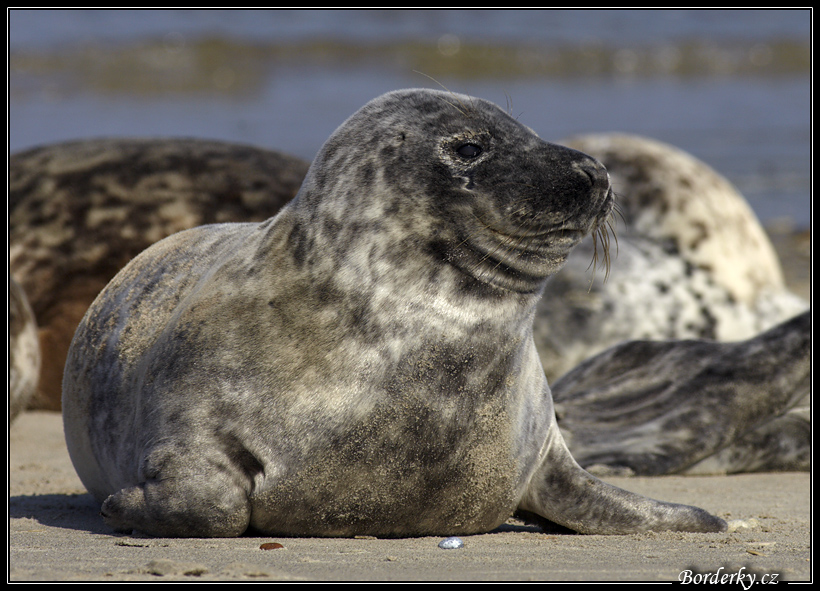 Helgoland_136.jpg