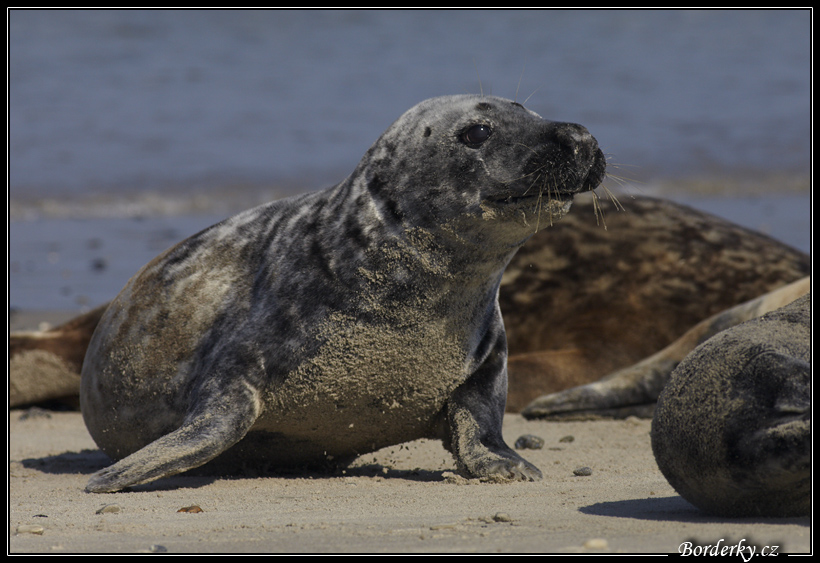 Helgoland_139.jpg