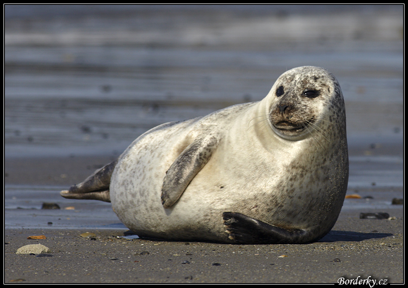 Helgoland_155.jpg