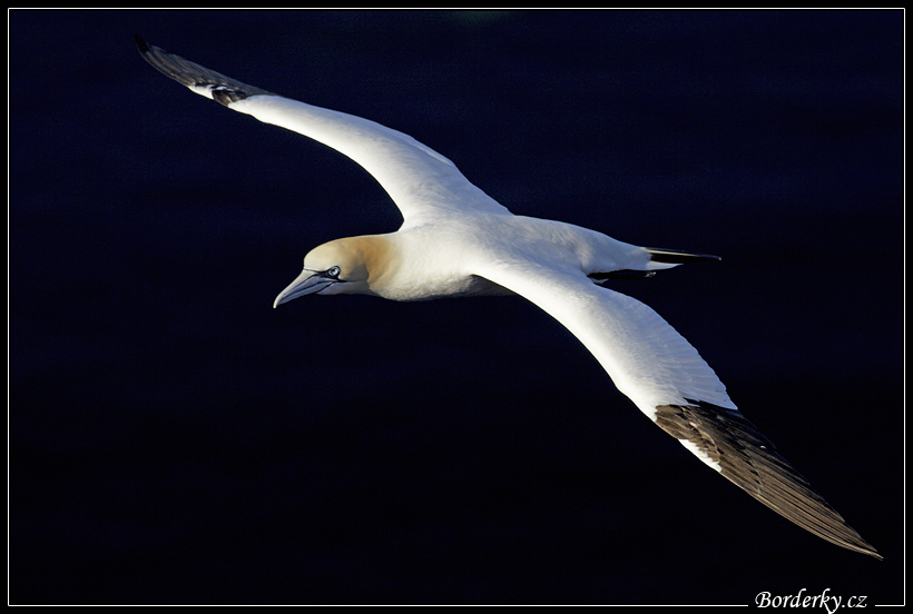 Helgoland_182.jpg