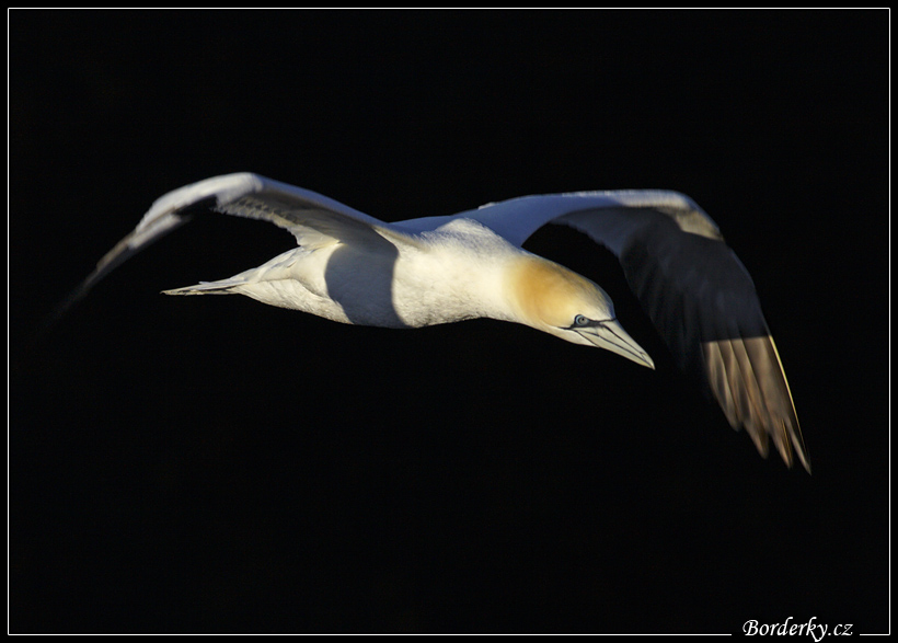 Helgoland_184.jpg