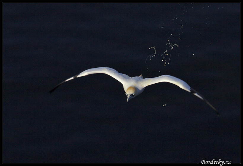 Helgoland_187.jpg