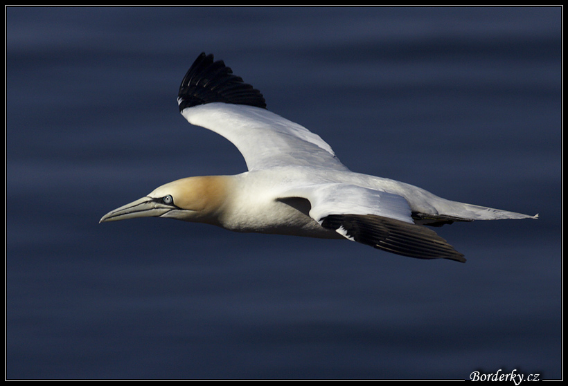 Helgoland_188.jpg