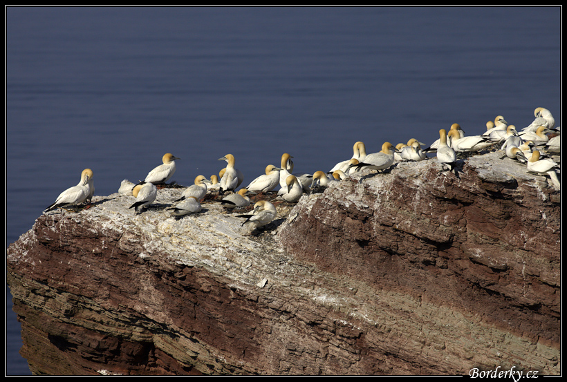 Helgoland_193.jpg