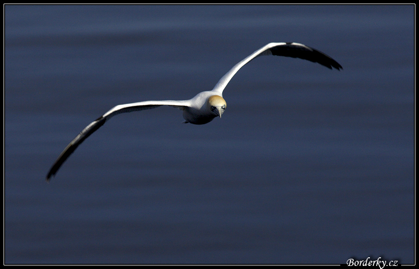 Helgoland_195.jpg