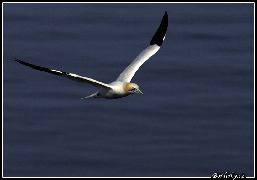 Helgoland_197.jpg