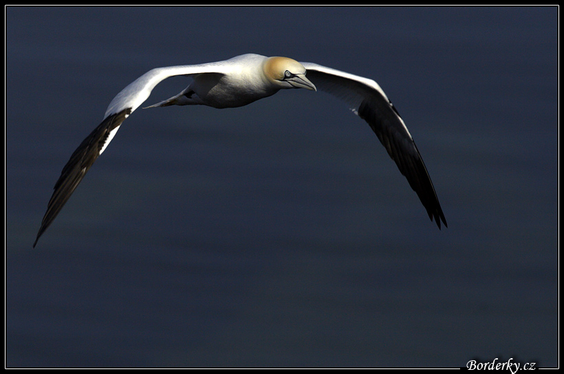 Helgoland_198.jpg