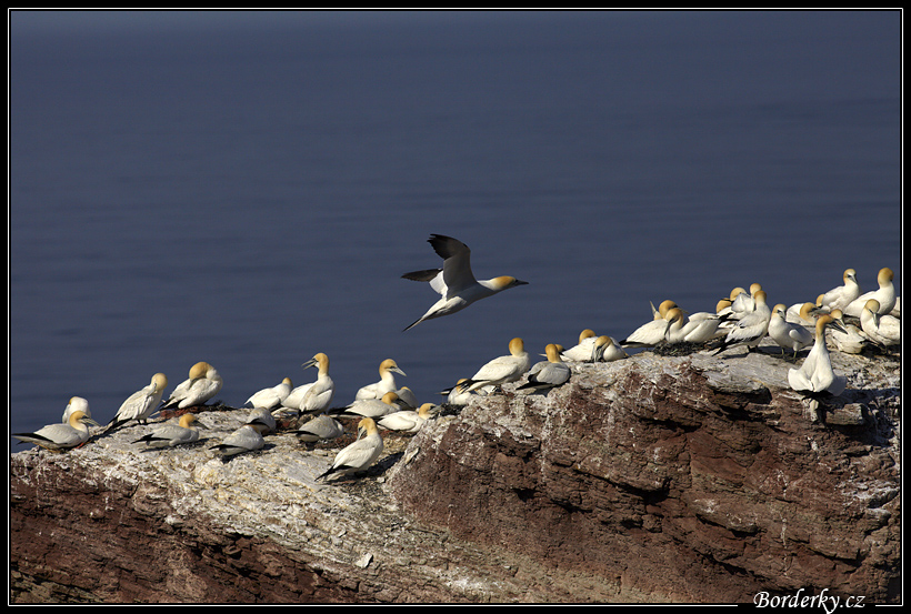 Helgoland_200.jpg