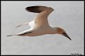 Helgoland_018