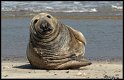 Helgoland_048