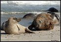 Helgoland_050