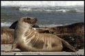 Helgoland_054