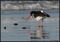 Helgoland_057