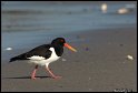 Helgoland_058