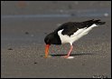 Helgoland_059