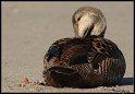 Helgoland_068